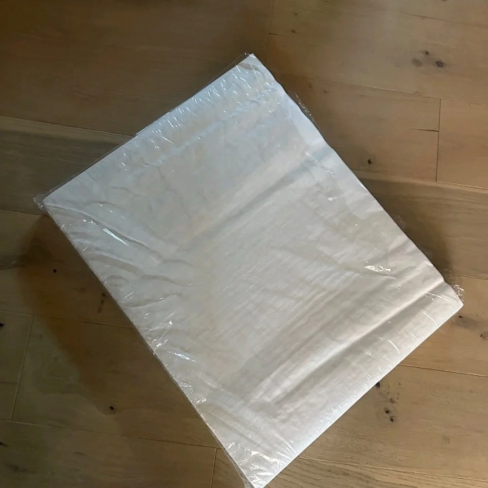 Authentic CHANEL Logo Tissue Paper 10 Sheets White Gift Wrap Packaging